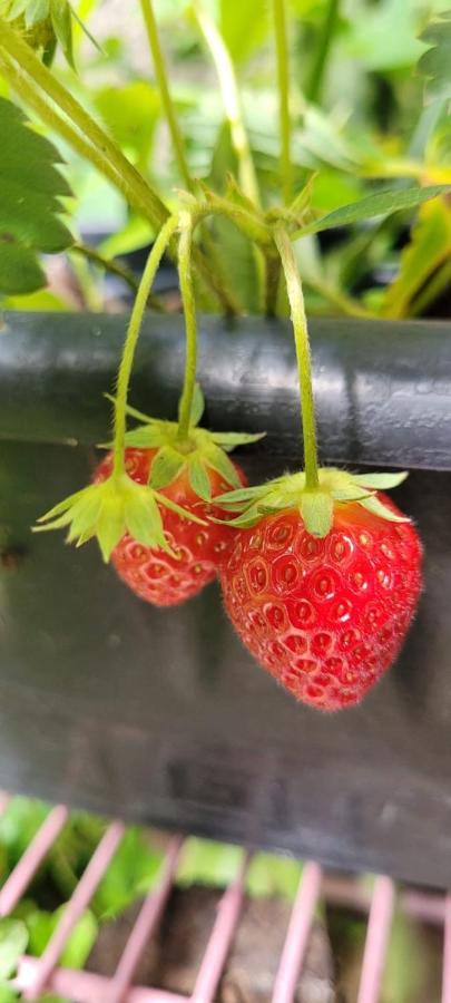 Tenda Da Lua Alto Paraíso de Goiás Zewnętrze zdjęcie