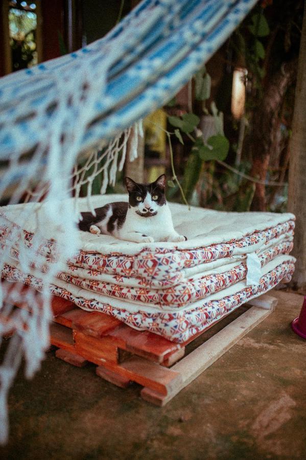 Tenda Da Lua Alto Paraíso de Goiás Zewnętrze zdjęcie