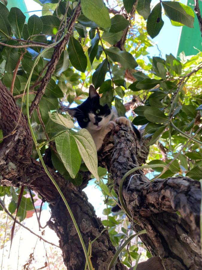 Tenda Da Lua Alto Paraíso de Goiás Zewnętrze zdjęcie